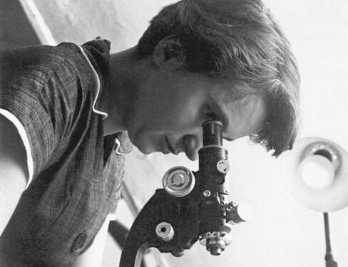 Image for Rosalind Franklin, Quelle(s) Histoire(s) !
