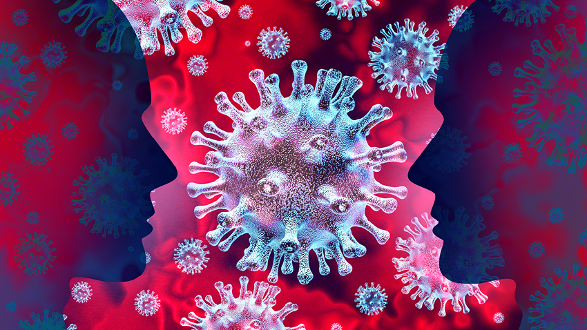 Image for Coronavirus : le guide de survie