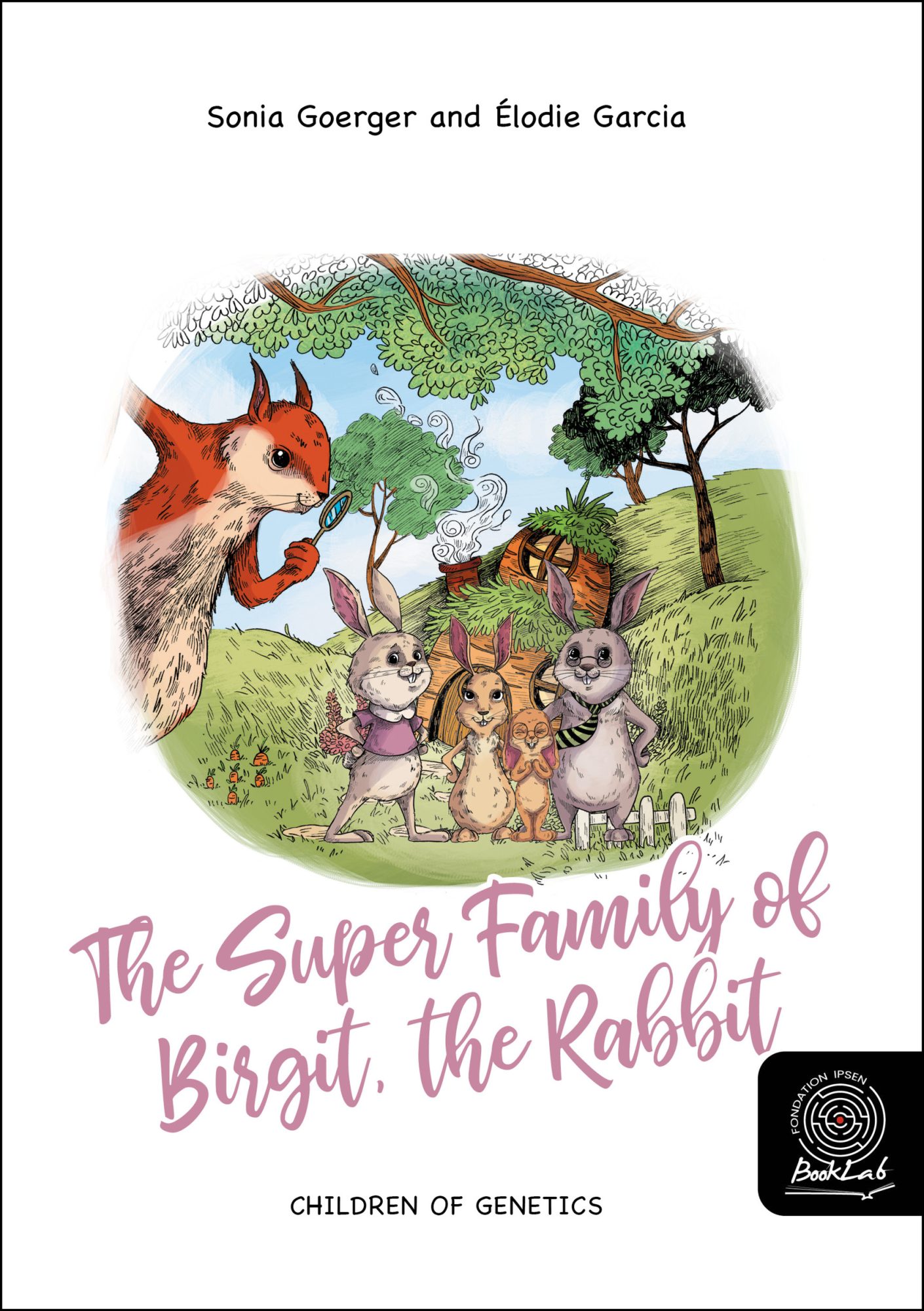 Image for The Super Family of Birgit, the Rabbit